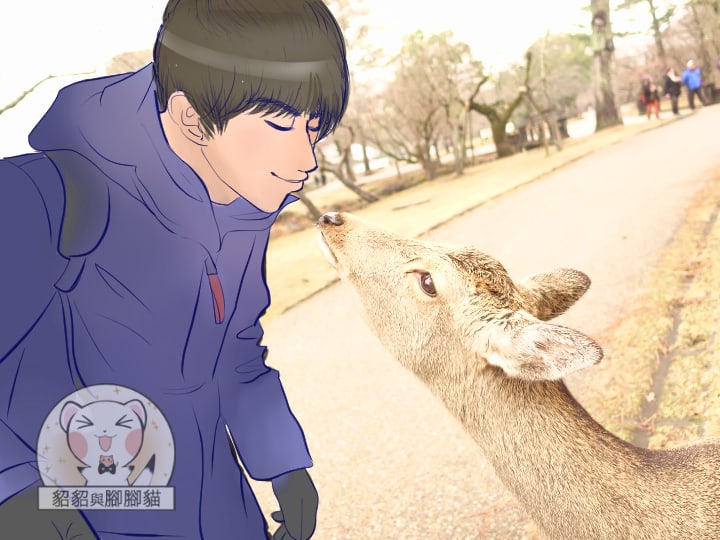 奈良玩鹿-奈良公園玩鹿記，如果不想被溫柔衝撞就趕快給牠們鹿仙貝吧！