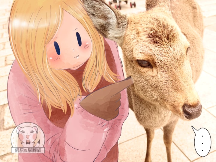 奈良公園玩鹿記，如果不想被溫柔衝撞就趕快給牠們鹿仙貝吧！